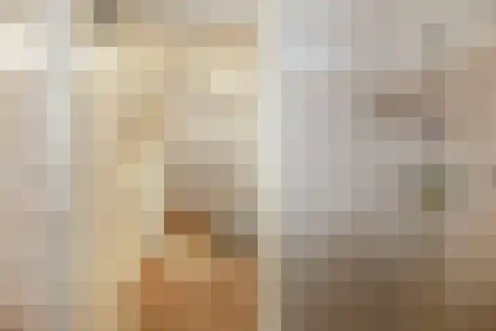 Begoniastraat 8 Olst thumbnail 20