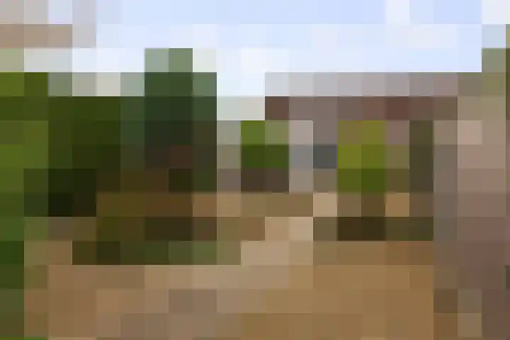 Begoniastraat 8 Olst thumbnail 22