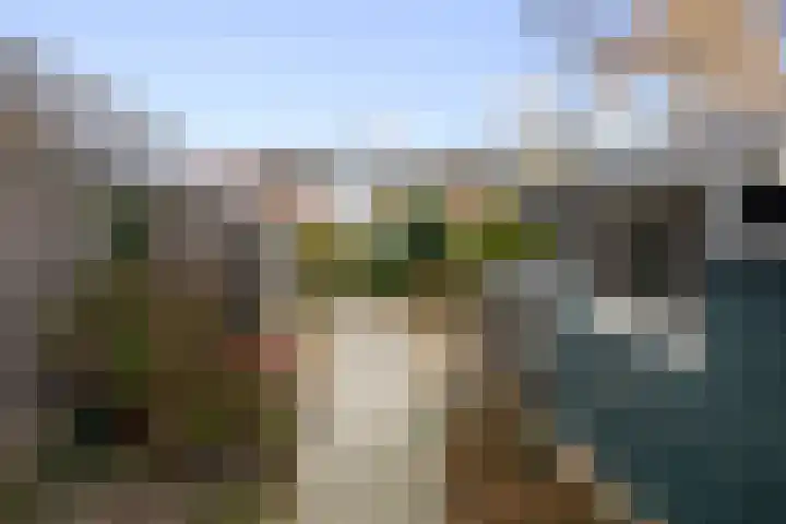 Begoniastraat 8 Olst thumbnail 26