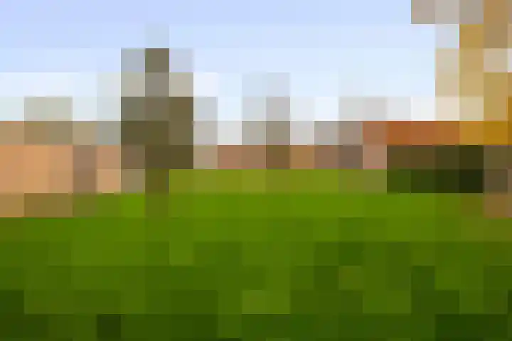 Begoniastraat 8 Olst thumbnail 27