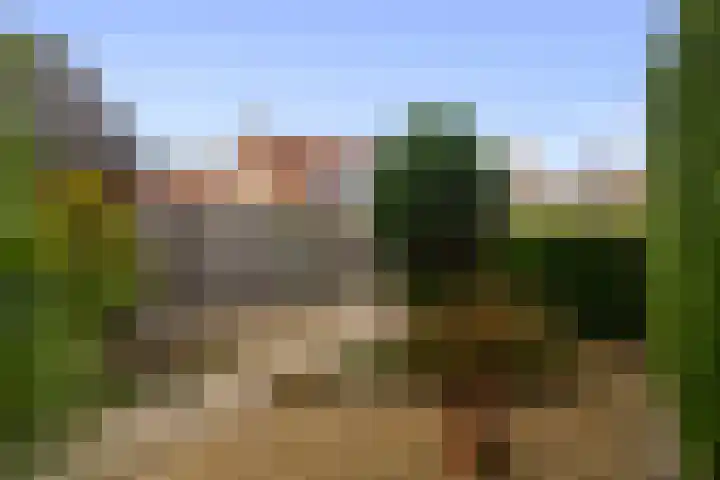 Begoniastraat 8 Olst thumbnail 28
