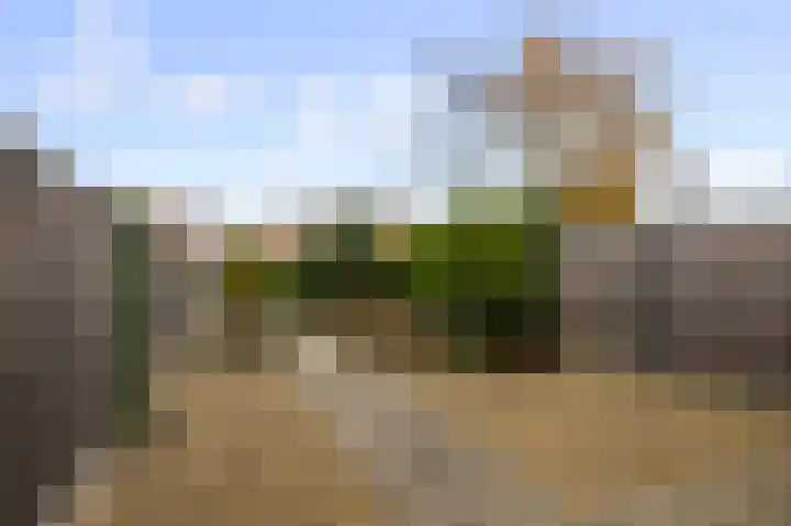 Begoniastraat 8 Olst thumbnail 29
