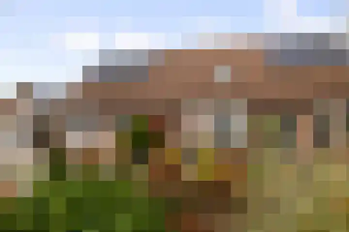 Begoniastraat 8 Olst thumbnail 31
