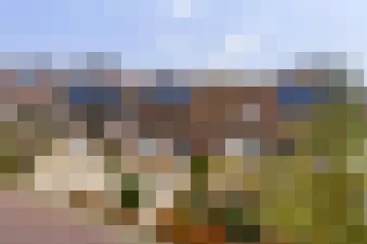 Begoniastraat 8 Olst thumbnail 32