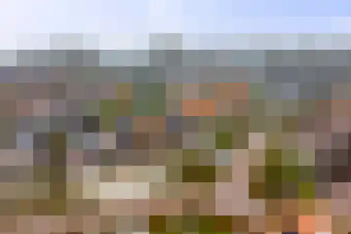 Begoniastraat 8 Olst thumbnail 34