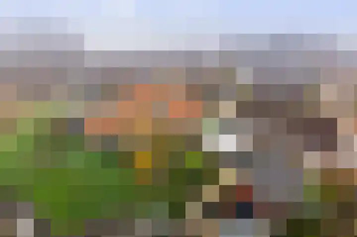 Begoniastraat 8 Olst thumbnail 35
