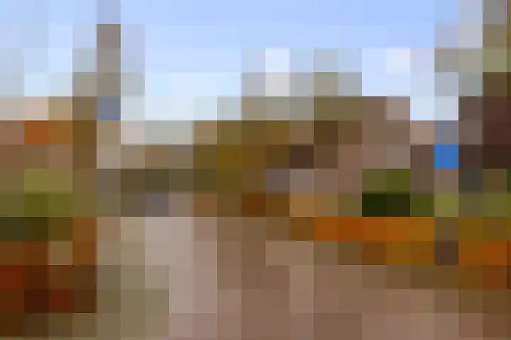 Begoniastraat 8 Olst thumbnail 36