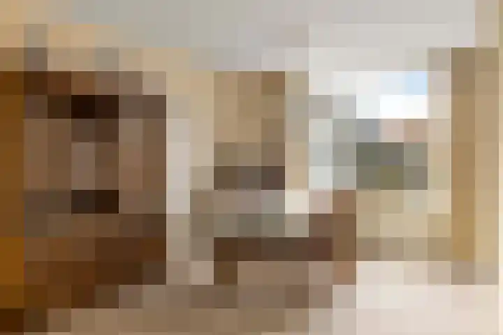 Begoniastraat 8 Olst thumbnail 6