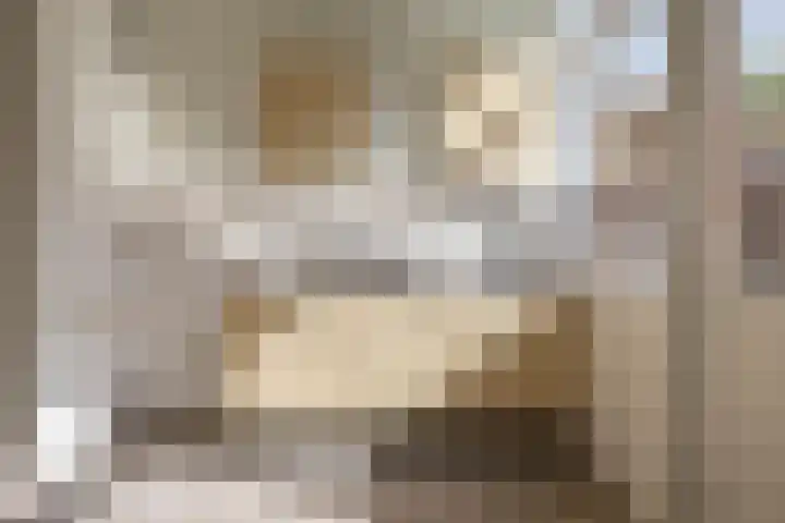Begoniastraat 81 Groningen thumbnail 13