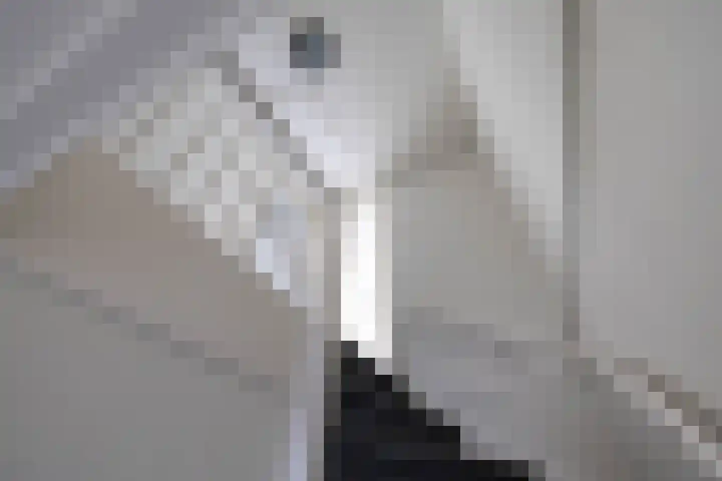 Begoniastraat 81 Groningen thumbnail 18