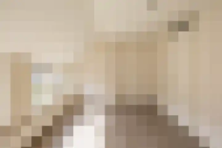 Begoniastraat 81 Groningen thumbnail 20