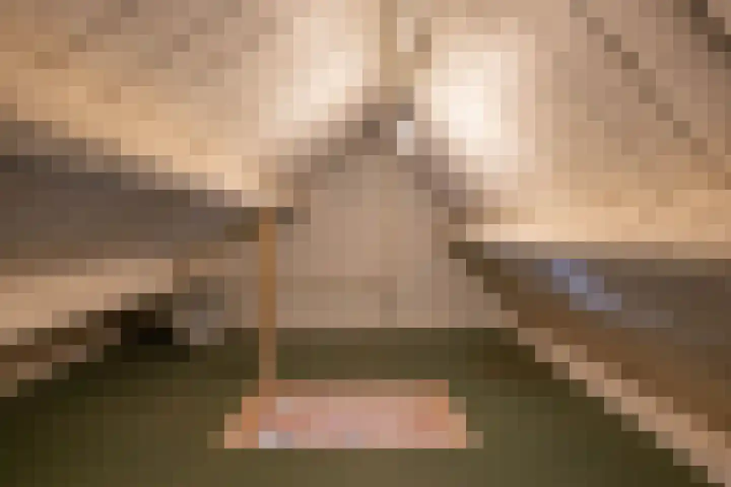 Begoniastraat 81 Groningen thumbnail 25