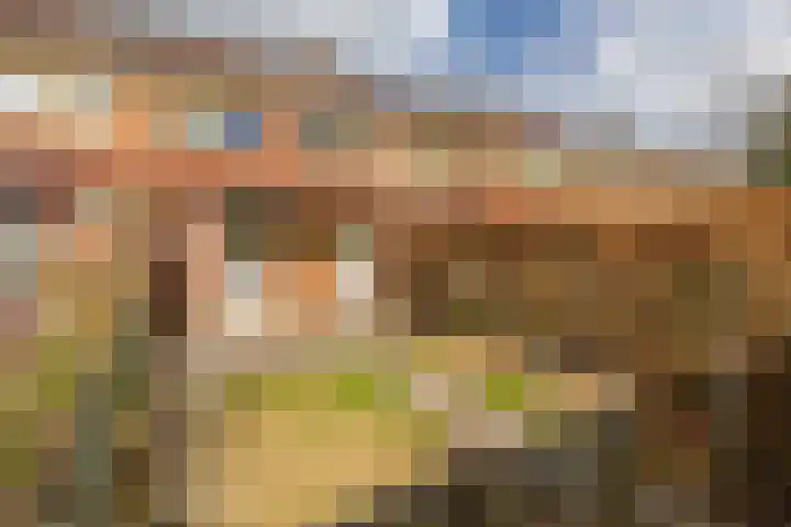 Begoniastraat 81 Groningen thumbnail 27