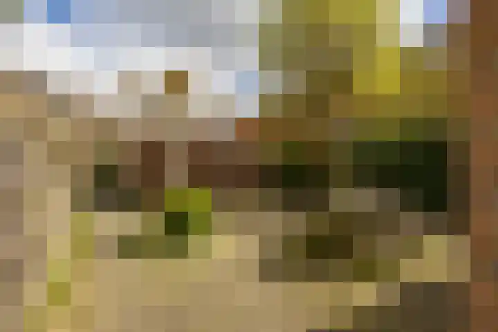 Begoniastraat 81 Groningen thumbnail 28