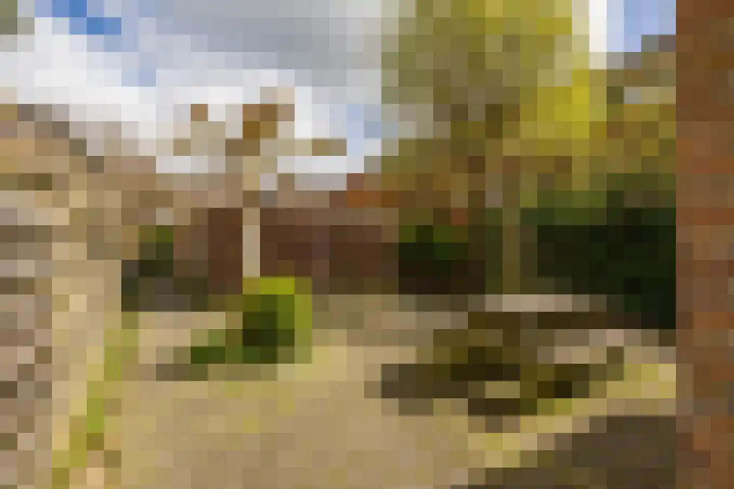 Begoniastraat 81 Groningen thumbnail 28