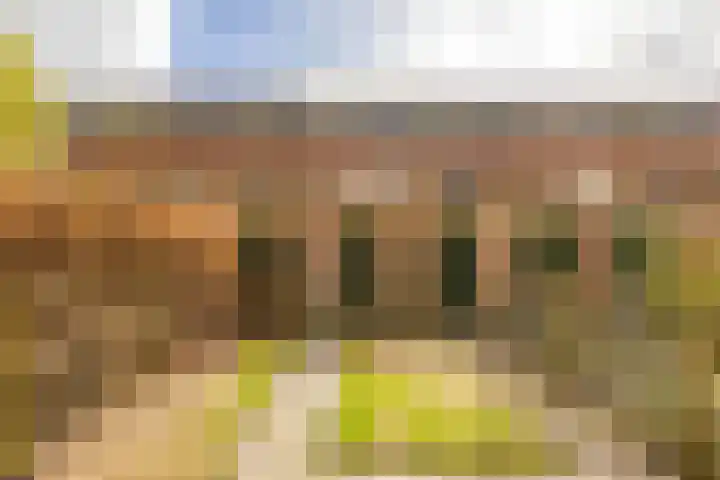 Begoniastraat 81 Groningen thumbnail 29