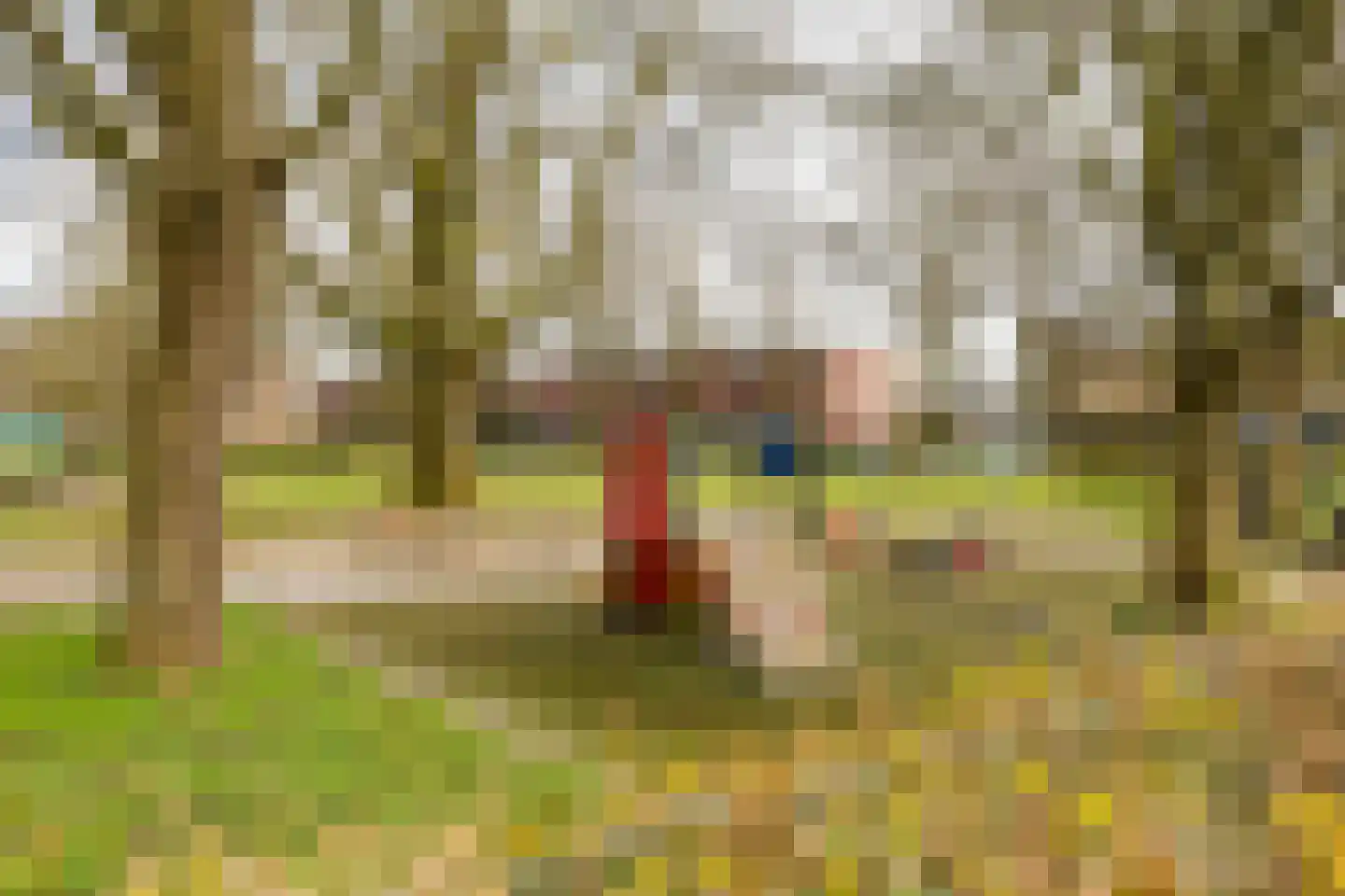 Begoniastraat 81 Groningen thumbnail 30