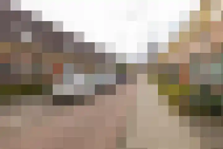 Begoniastraat 81 Groningen thumbnail 31