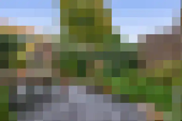 Begoniastraat 82 Groningen thumbnail 18