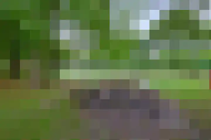 Begoniastraat 82 Groningen thumbnail 34
