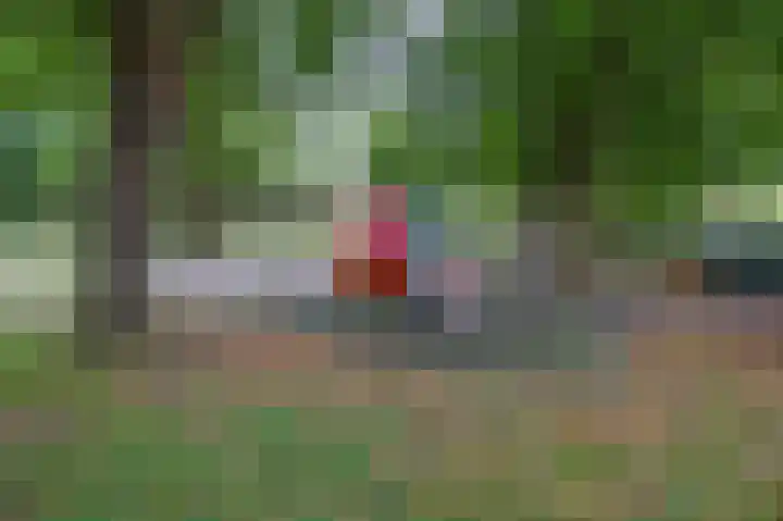 Begoniastraat 82 Groningen thumbnail 35