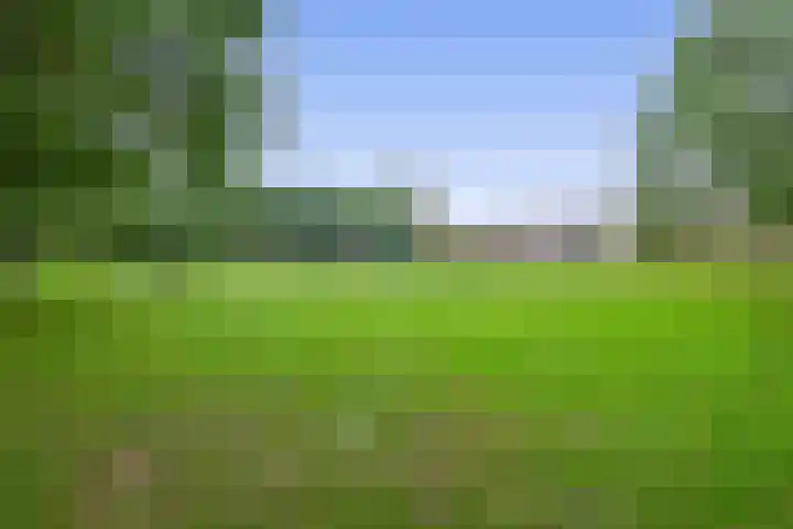 Begoniastraat 82 Groningen thumbnail 36