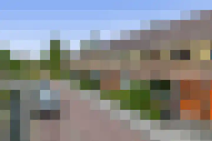Begoniastraat 82 Groningen thumbnail 38