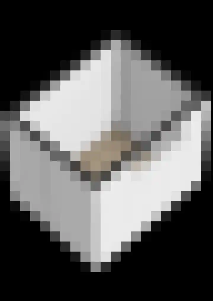 Begoniastraat 82 Groningen thumbnail 48