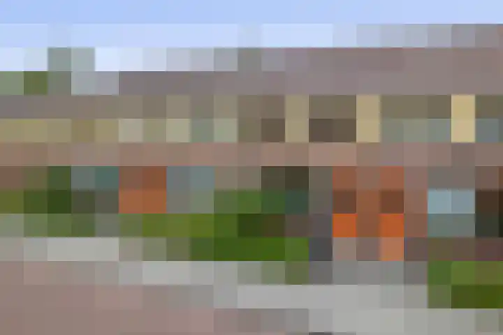 Begoniastraat 82 Groningen thumbnail 5