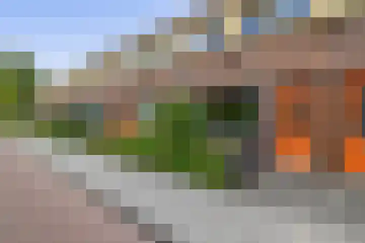 Begoniastraat 82 Groningen thumbnail 6