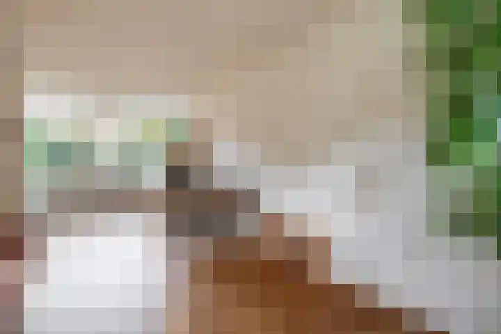 Begoniastraat 82 Groningen thumbnail 8