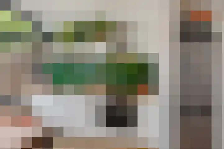Begoniastraat 84 Groningen thumbnail 19