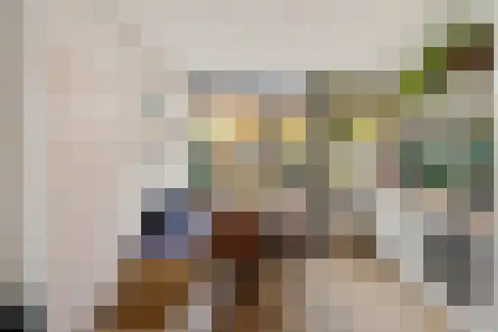 Begoniastraat 84 Groningen thumbnail 20