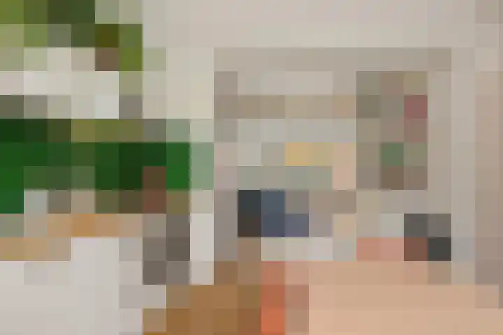 Begoniastraat 84 Groningen thumbnail 22