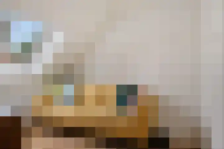 Begoniastraat 84 Groningen thumbnail 28