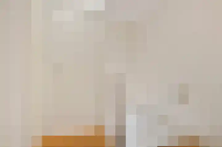 Begoniastraat 84 Groningen thumbnail 32