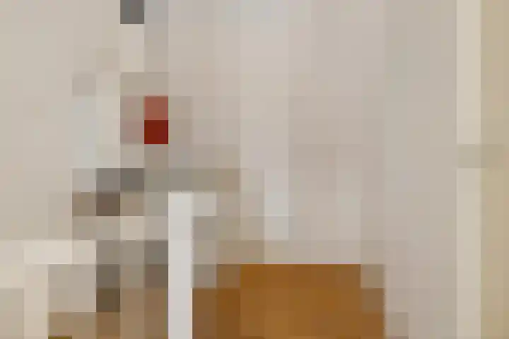 Begoniastraat 84 Groningen thumbnail 33