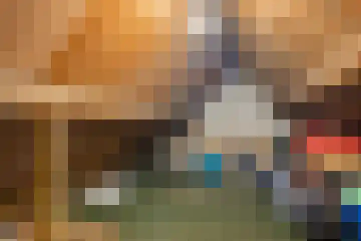 Begoniastraat 84 Groningen thumbnail 38