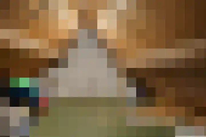 Begoniastraat 84 Groningen thumbnail 39