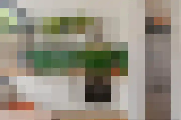 Begoniastraat 84 Groningen thumbnail 4