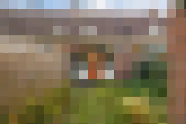 Begoniastraat 84 Groningen thumbnail 40