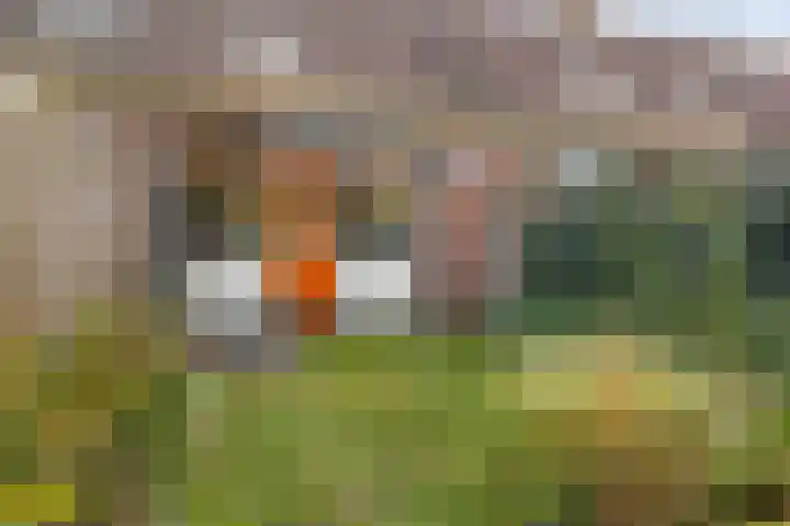 Begoniastraat 84 Groningen thumbnail 41