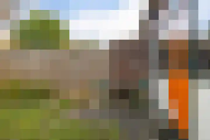 Begoniastraat 84 Groningen thumbnail 42