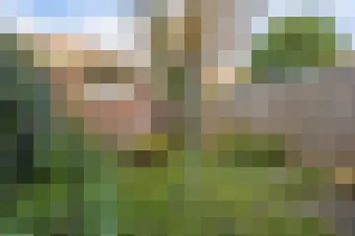 Begoniastraat 84 Groningen thumbnail 43