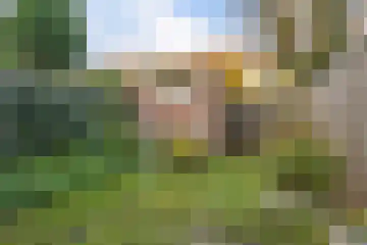 Begoniastraat 84 Groningen thumbnail 44