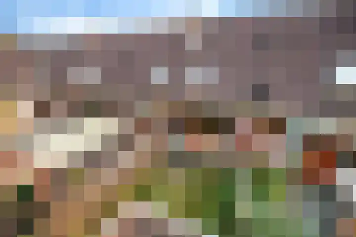 Begoniastraat 84 Groningen thumbnail 46