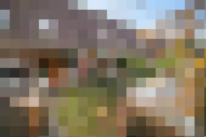 Begoniastraat 84 Groningen thumbnail 47