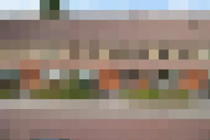 Begoniastraat 84 Groningen thumbnail 49