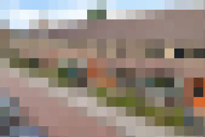 Begoniastraat 84 Groningen thumbnail 50