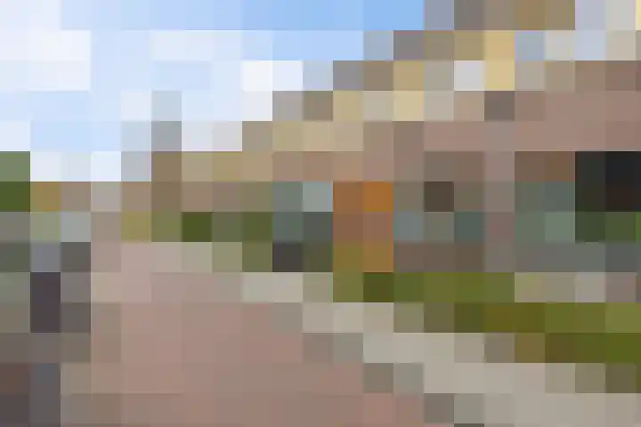 Begoniastraat 84 Groningen thumbnail 8